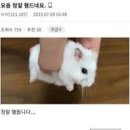 57캠프 이미지