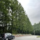 상대원유소년축구장 이미지