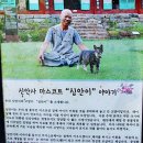 신안사로 이미지