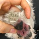 그루밍공화국 이미지