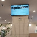 남대문칼국수 별내점 | 별내 이마트 푸드코트 미식가 이용 후기(ft. 남대문호떡)