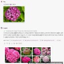 로뎀나무협동조합 이미지