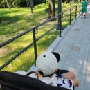 외나무 약국 | 26개월 아이와 대구 실내놀이터 구)어린이회관 현)어린이세상 다녀오기🏃