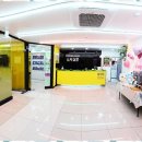 꿈나무미술학원 이미지