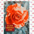 아침향기화원