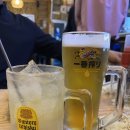 대야굴 | [서울/강남] 동어동락 삼성본점_활고등어회와 통영 삼배체굴이 있는 코엑스 맛집