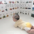 아기병풍 시기, 엔밀리밀리 컴플리트 플러스 후기