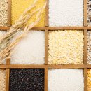 앤드푸드 이미지