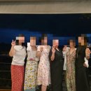 핀콕트래비즈