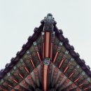 일일사 이미지