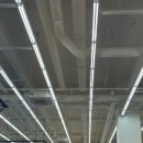 꿈쀼