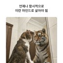 직접 해본 블로그 수익 현실 정리 (체험단·애드포스트·협찬 실제 후기)