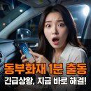 DB프로미카월드 | 동부화재 긴급출동 서비스 1분 확인