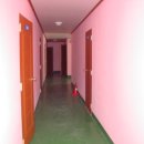 파라다이스 민박 이미지