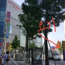 롯데백화점 버스승강장 이미지