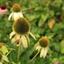 산여울민박 이미지