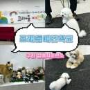 따라 애견학교 | 구리 강아지훈련소 프래들 애견학교에서 방문훈련 받고 온 후기