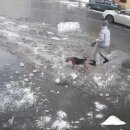 멍멍이PC 이미지