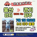 양지켄넬 이미지