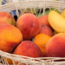 청춘과일 이미지