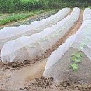 나라바이오주식회사 이미지