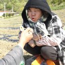 미순농장 이미지