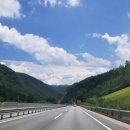 하이원펫클럽 이미지