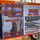 대박펫살롱 | 구래동 모여봐요고양이카페 아이와 함께 방문 후기 - 시간무제한 음료무제한 가성비 최고
