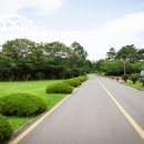 항몽유적지 이미지