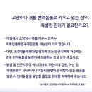우리아이 동물메디컬센터 이미지