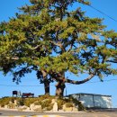 상동삼거리 이미지