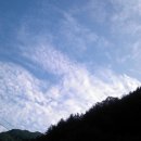 하늘을 향하여 이미지