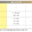 무재배기술 2014년11월16일