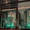 와일드캣 브루잉(WILD CAT BREWING) 네이버블로그