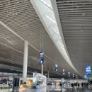 명품양꼬치야시장 | 칭다오/청도 Qingdao 공항 완벽 후기 ✈️ 원장맥주 가격부터 면세·식당까지 총정리!