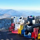 오대산별장 | 겨울을 즐겁게 4 : 용평리조트 즐기기+ 평창 식도락 여행(발왕산, 눈썰매, 오대산 산채한정식)