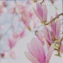 강동오륜방문요양센터 | 거동 힘드신 부모님 위한 강동구 추천 요양원 오륜방문요양센터 어르신 맞춤 돌봄 서비스