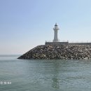 2025.4.29(화)당진, 장고항~ 국화도/도지섬~매박섬/ 섬트레킹 이미지