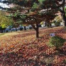 고양고등학교 이미지