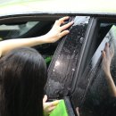 성지모터스 이미지