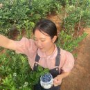 우하하농장 이미지