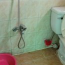 코스모스민박 이미지