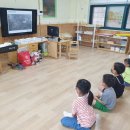 금광초교병설유치원 이미지