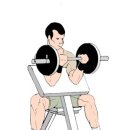 몸짱만들기 GYM 이미지