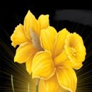 멋진하루 이미지