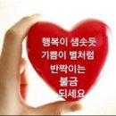 11월 16일(금) 대서사 와 행정사 이미지