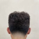 마이트로포 이미지