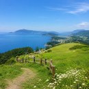 우포의 숲속 | 경남 6월 가볼만한곳 추천5! 초여름 바람 따라 떠나기 좋은 여행