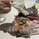치비치비 티스토리