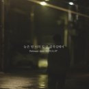 노을이네 이미지